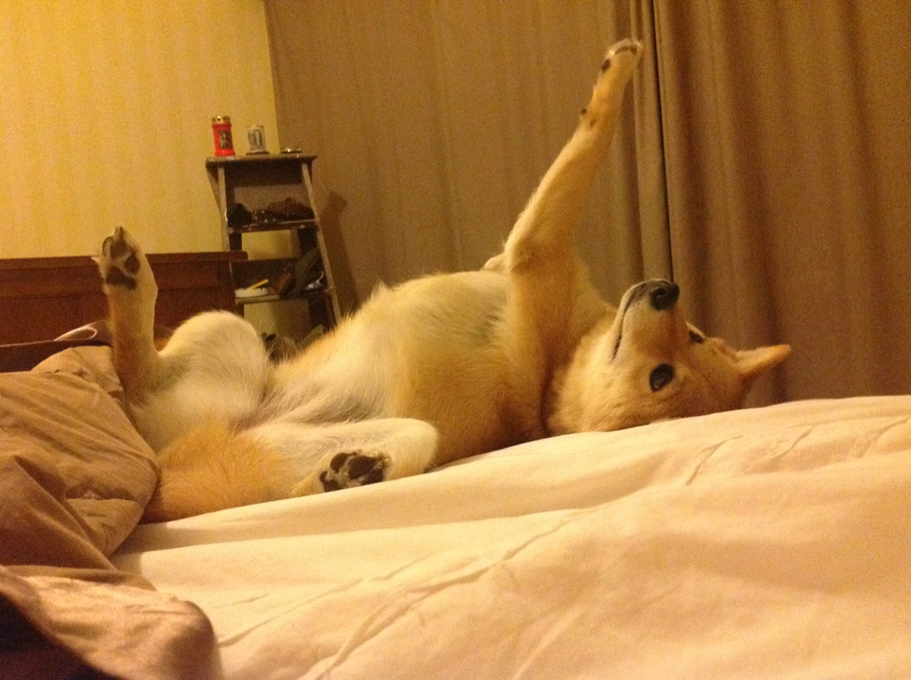 开云体育娱乐-亚洲赛事引发争议，公平裁判成热议话题，亚洲区赛制