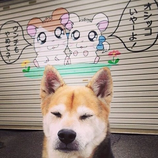 开云下载-史上最“燃”关键三分：那一球载入史册！