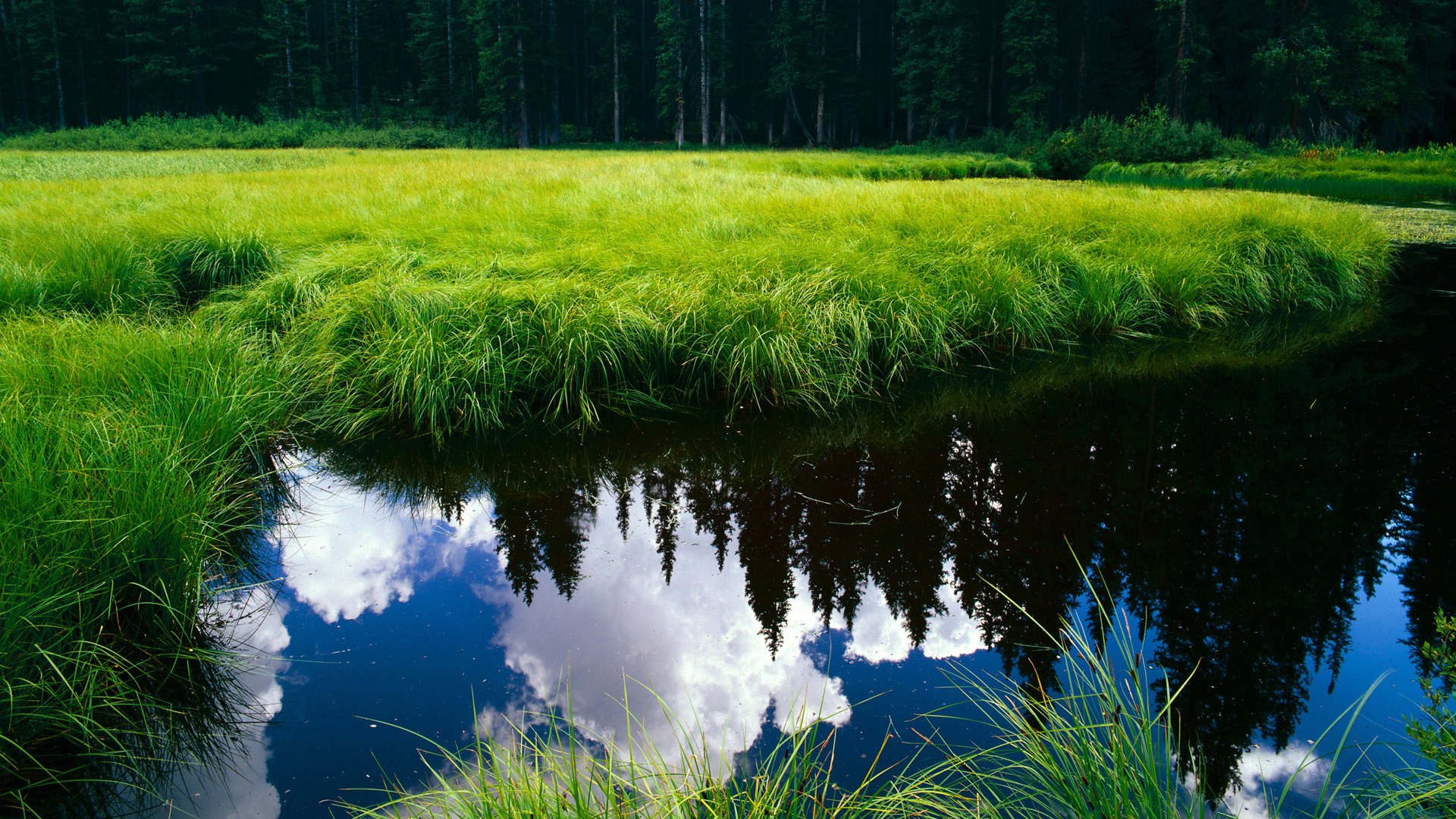 哥伦比亚马术协会与非洲马术协会开展技术援助项目，提升当地水平。