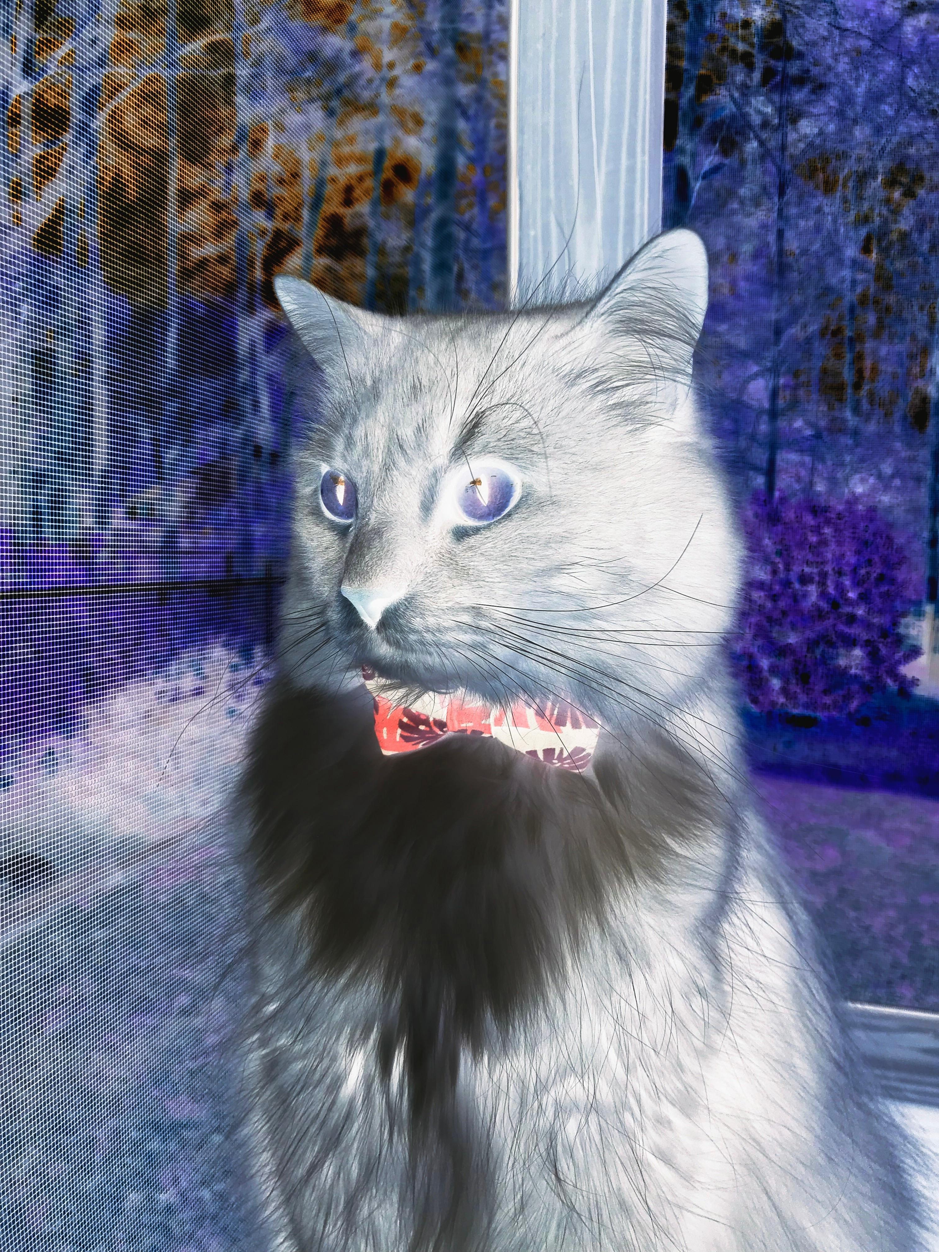 垂钓比赛，淡定享受钓鱼乐趣，2020年垂钓比赛