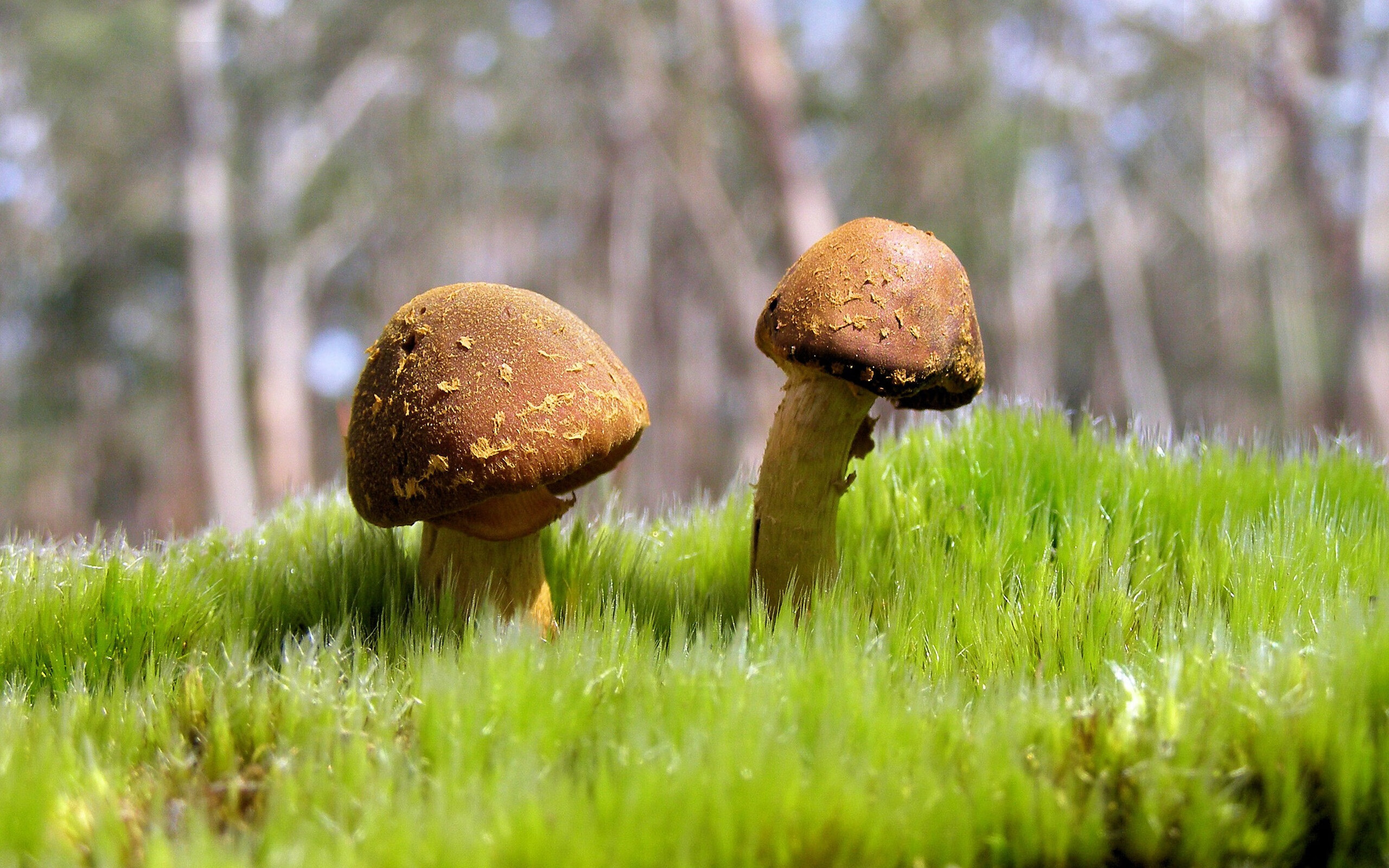 球员出轨事件:体育明星私生活曝光引发关注,球星出轨老婆举报