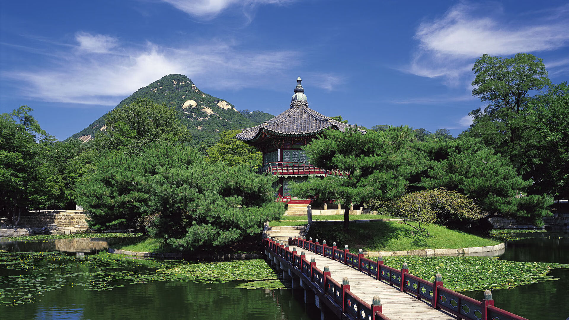 开云体育下载-篮球装备智能监测系统走红，运动科学新纪元开启，篮球运动训练监控