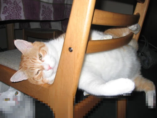 开云官网-绝地求生 赛区间实力差距缩小，绝地求生几个赛区