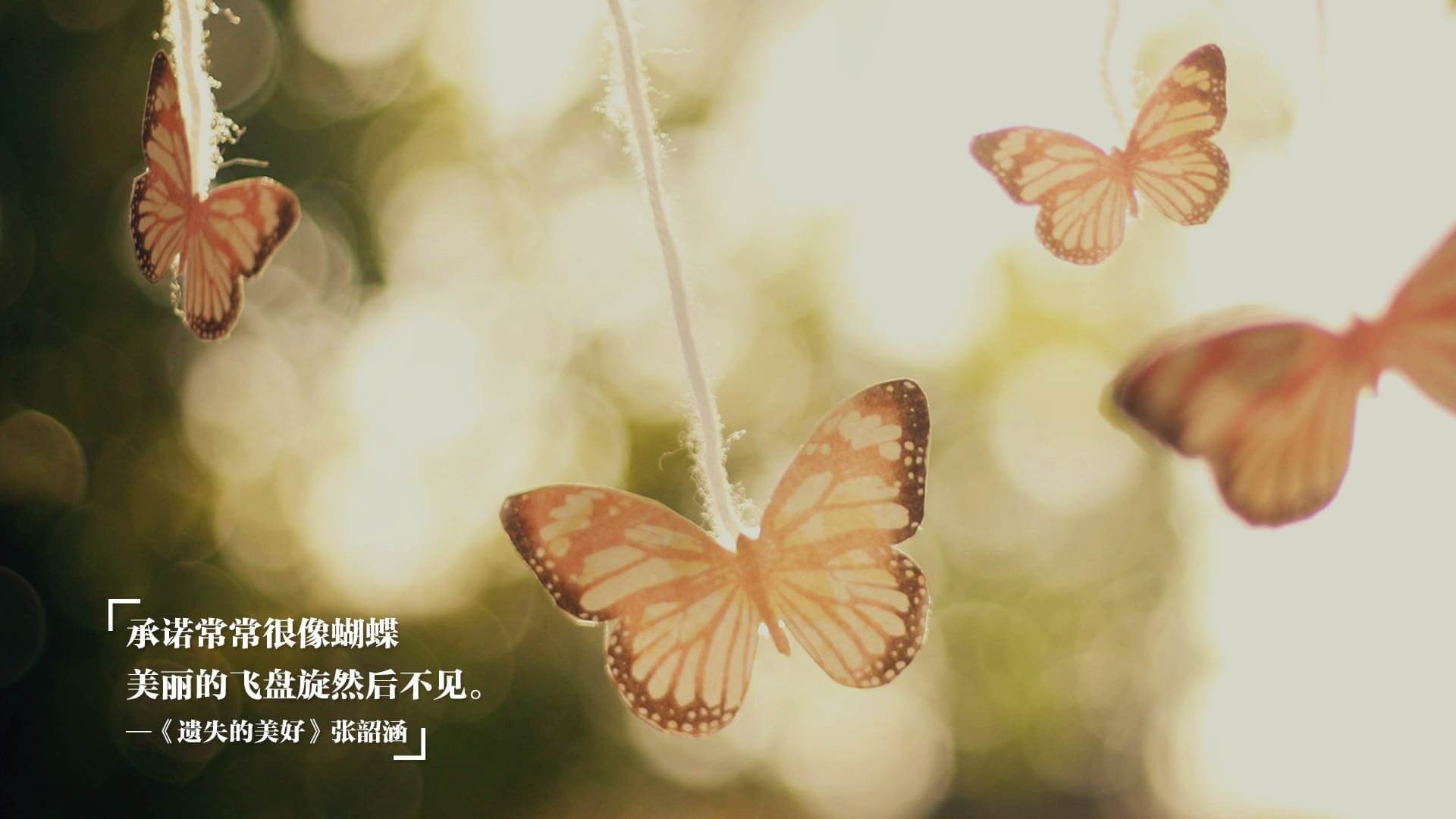 西甲“全能”门将，精彩扑救跃升比赛新高度，西甲门将号码规定