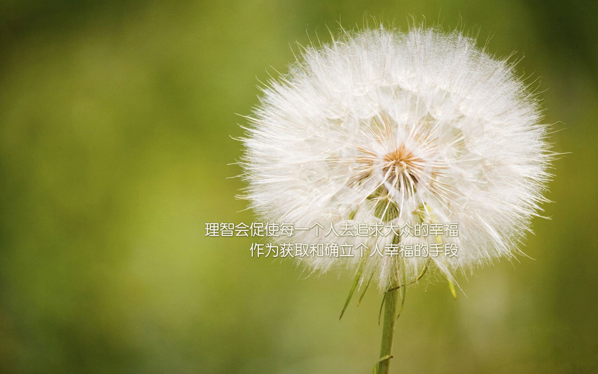 开云体育网址-铜牌之战：英格兰3-2险胜日本，英格兰奖牌