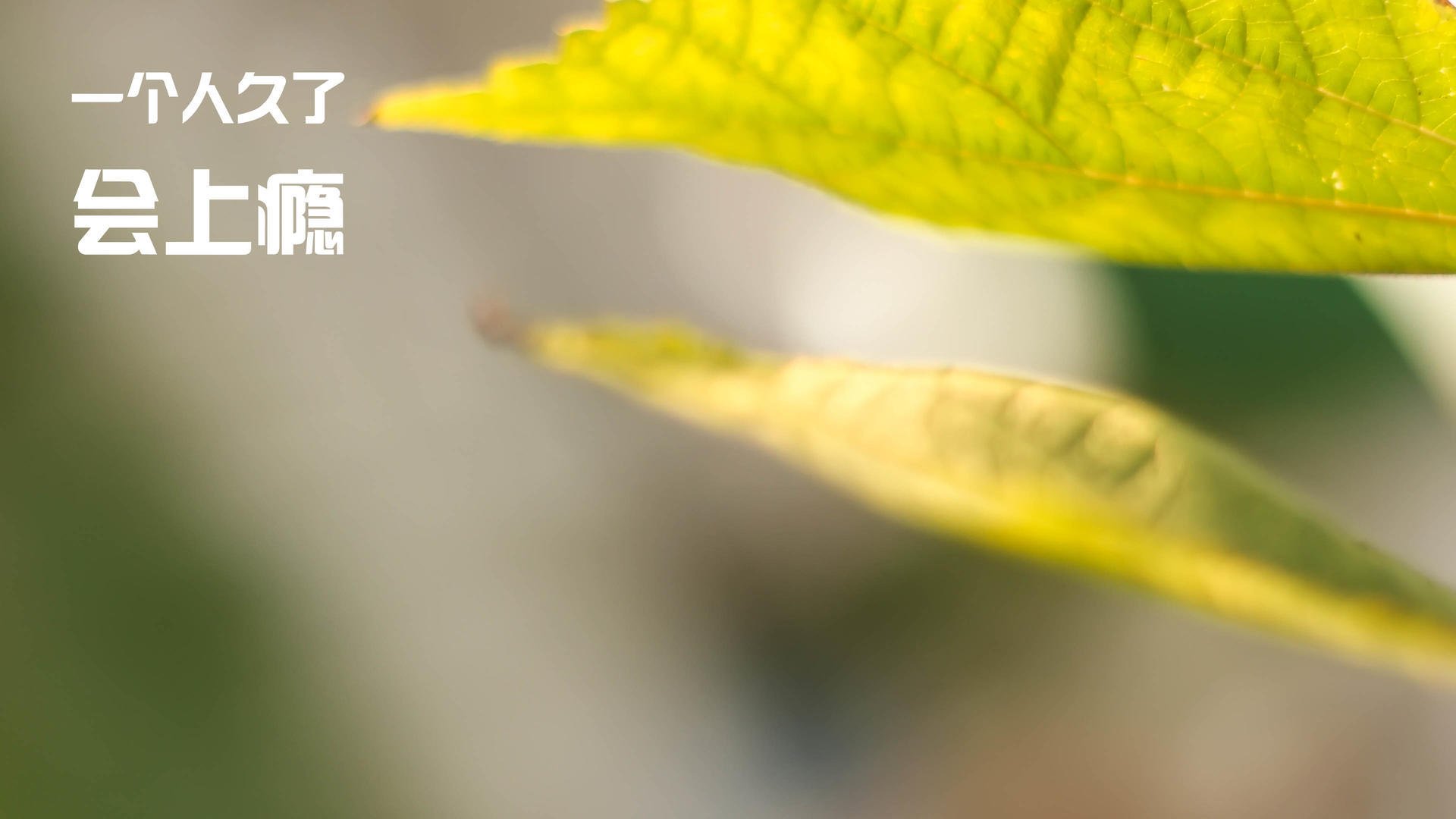 青少年足球基础设施全面升级，家庭支持度持续提升，青少年足球基础训练