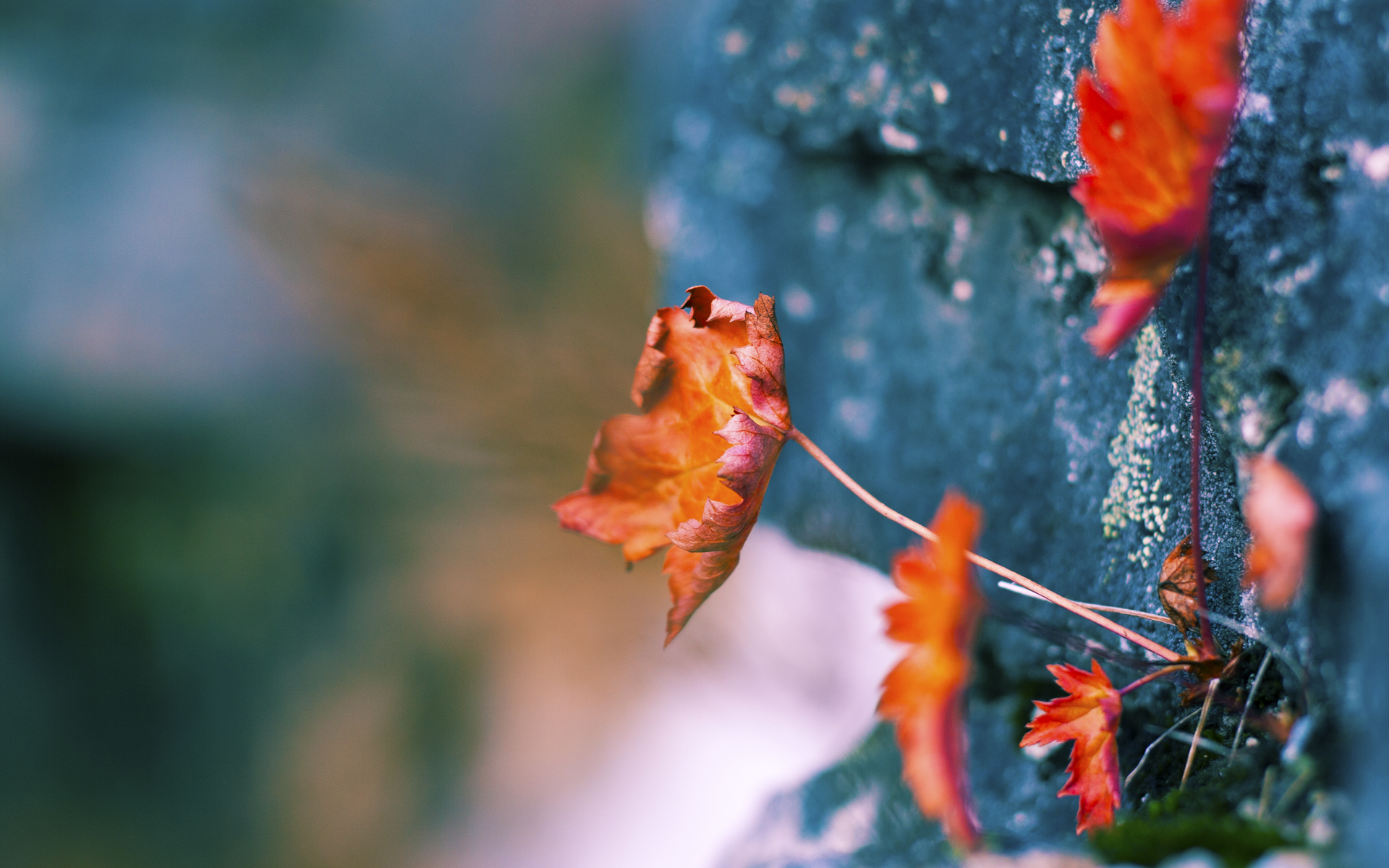 开云体育下载-高效团队：战术创新激发无限潜能，高效战斗力团队如何打造