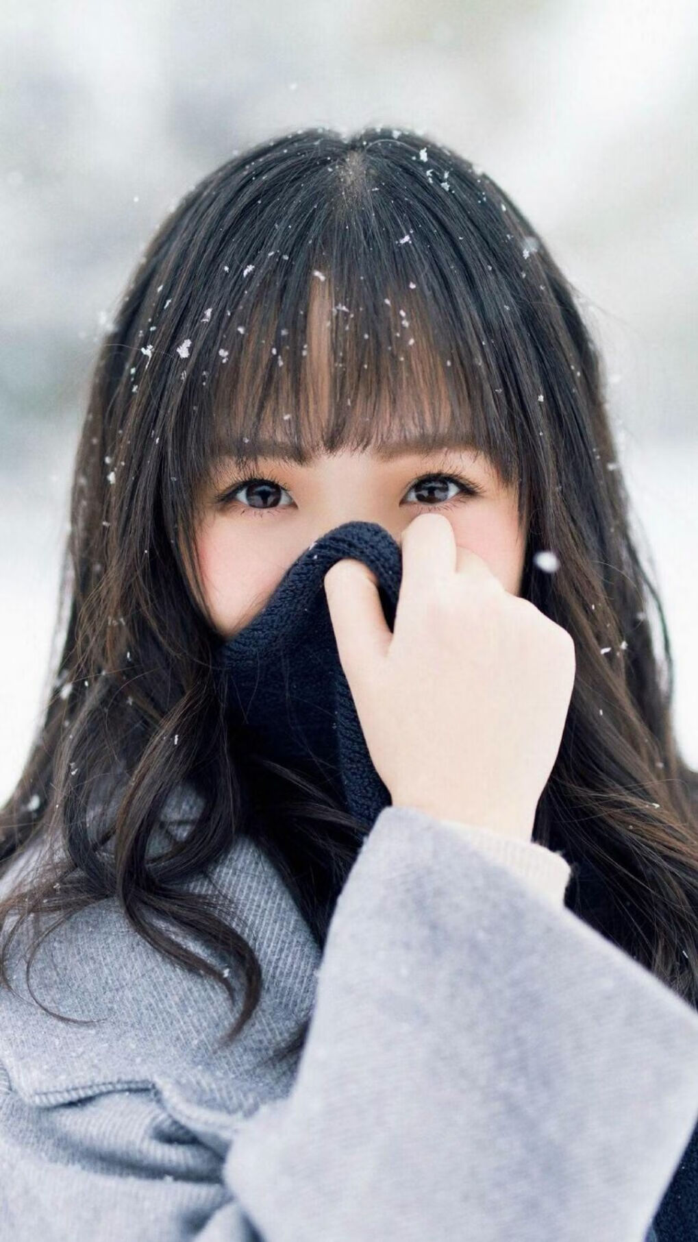 KPL选手转会市场动态,kpl选手转会规则