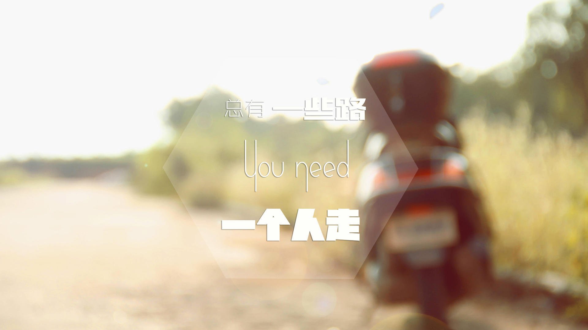 南安普顿青训体系完善，圣徒未来可期，南安普顿 青训