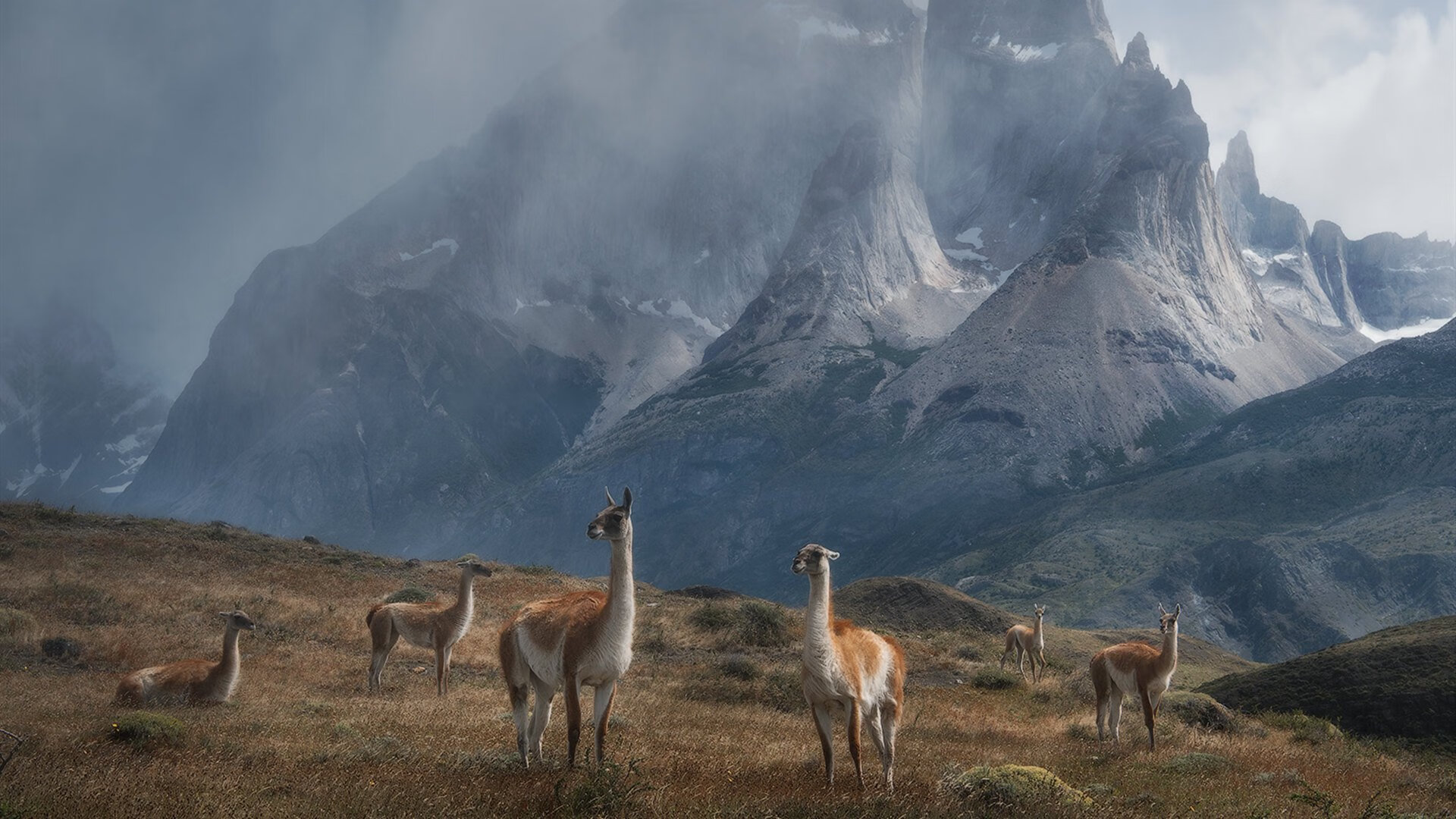 国内职业足球联赛赛程密集,球队备战准备充足,职业足球赛事