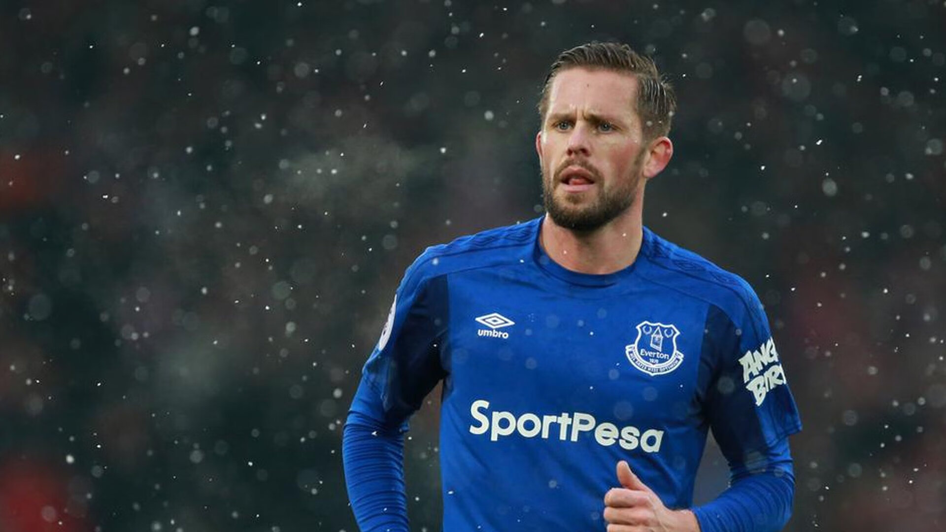 悉尼国王战术调整见成效,悉尼国王队名单