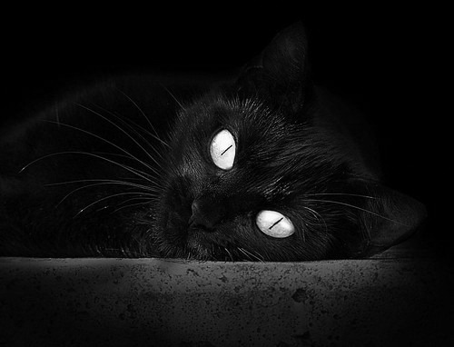 普拉提教练薪资水平提升,吸引更多从业者,普拉提教练月薪多少