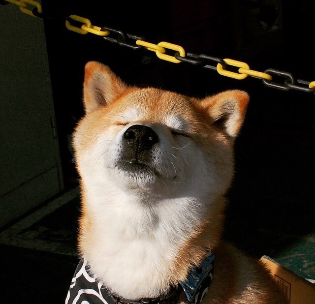 数字化体育教学模式对学生运动技能掌握的影响研究,数字化体育教学应用