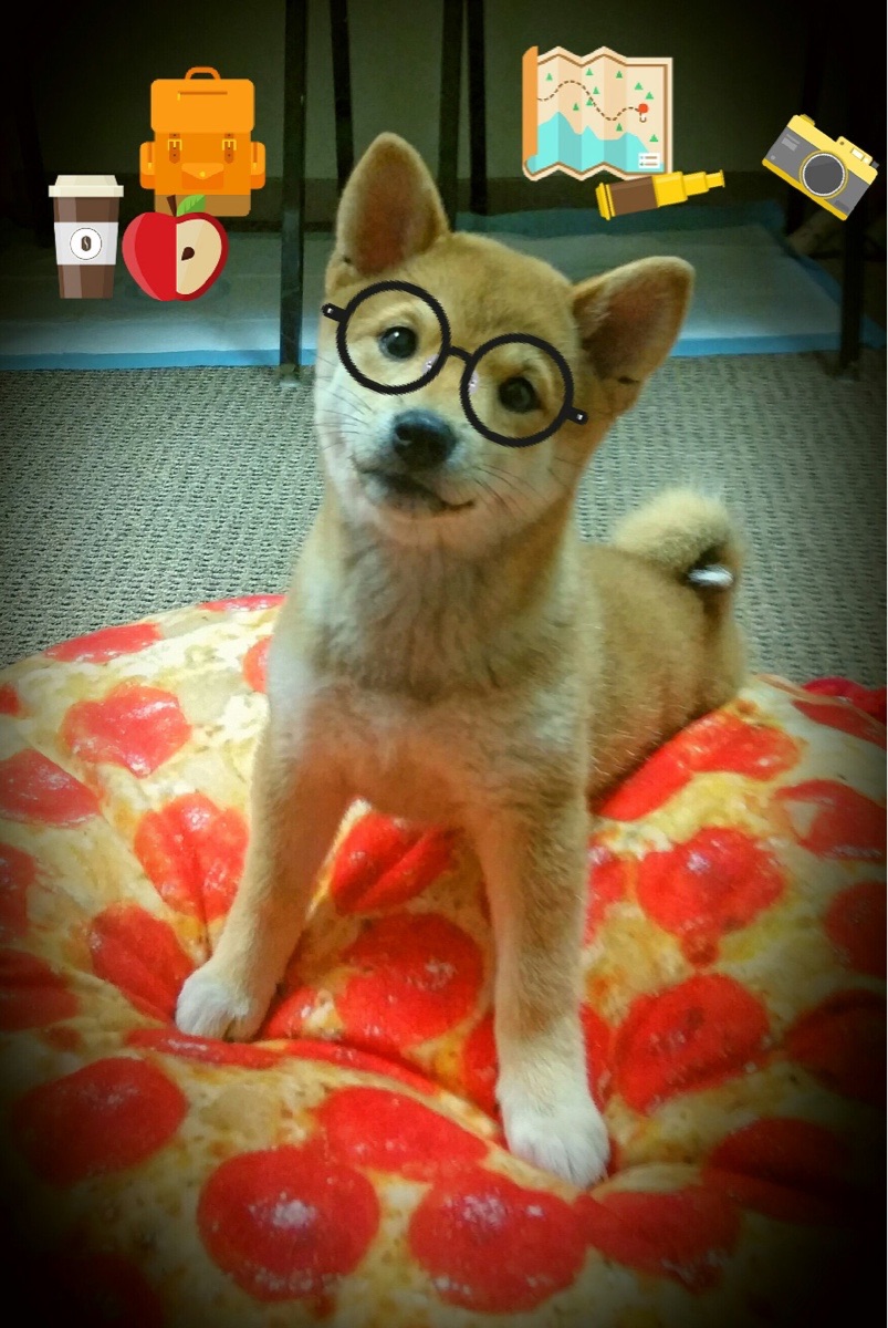 拓展边界：足球在“一带一路”国家的推广策略