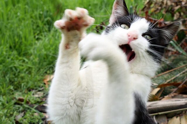 CBA战术板图演变球队打法越来越丰富,篮球战术板画图