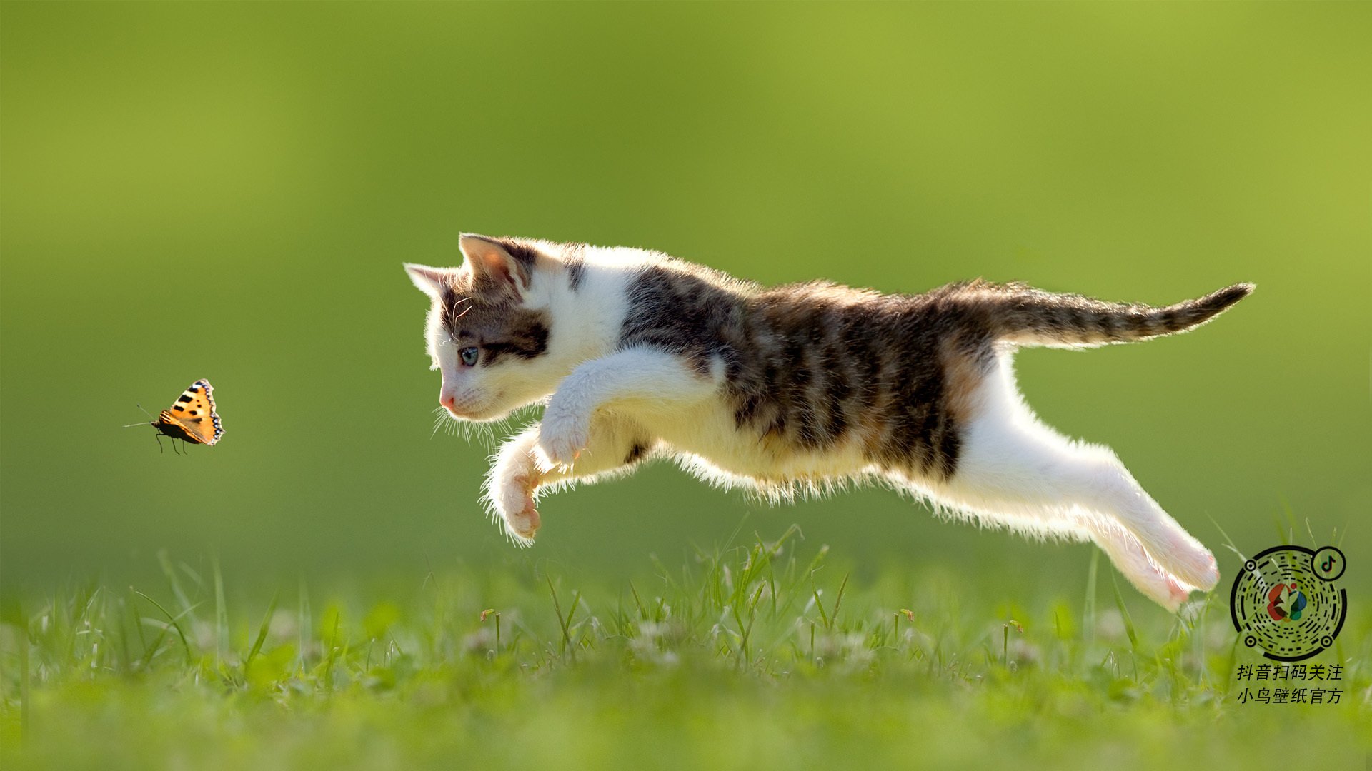 体育明星公益慈善影响深远，体育明星捐款和娱乐明星捐款