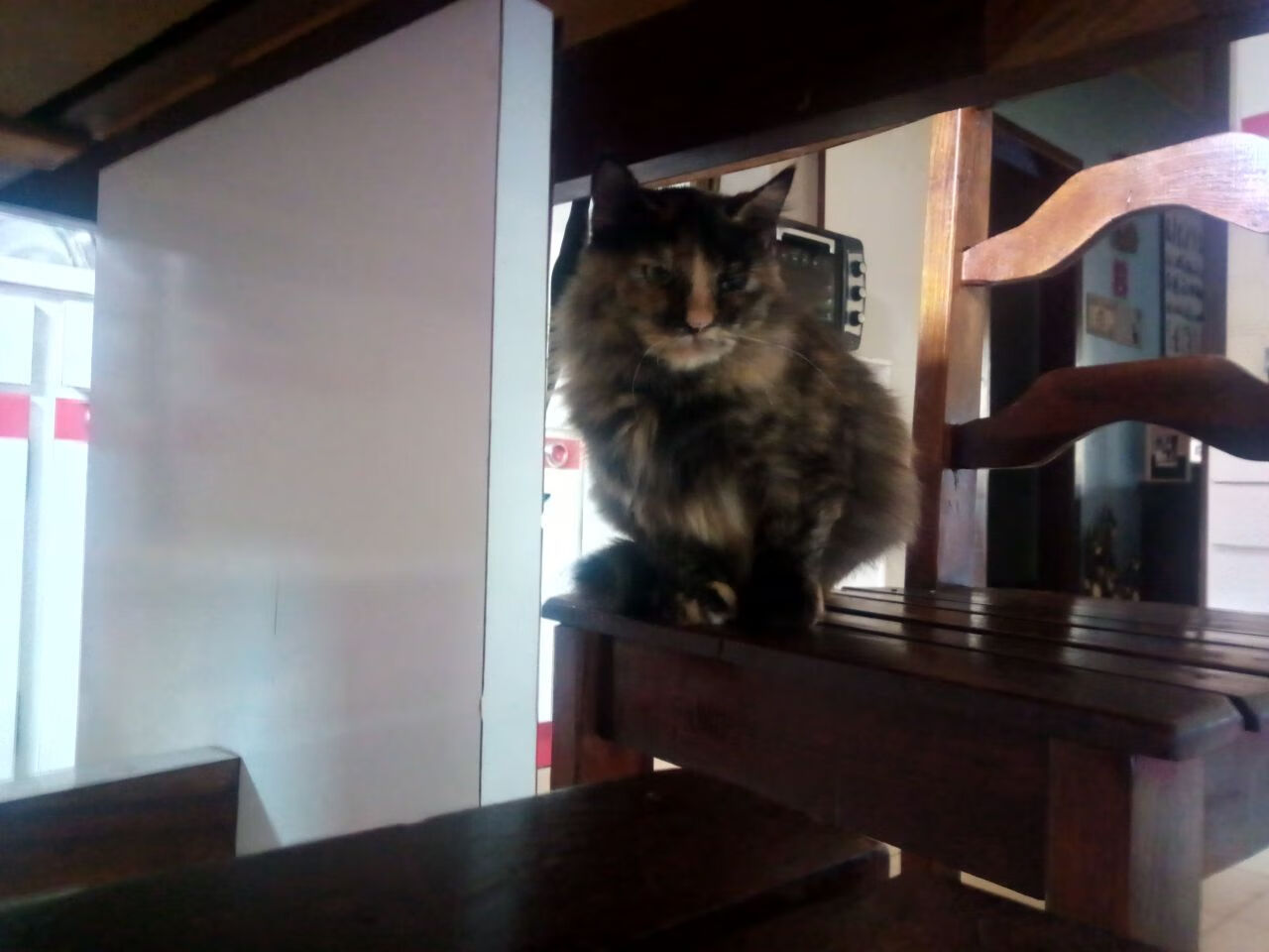 全国游泳冠军赛新星频出成绩突破预期,全国游泳冠军赛2021成绩