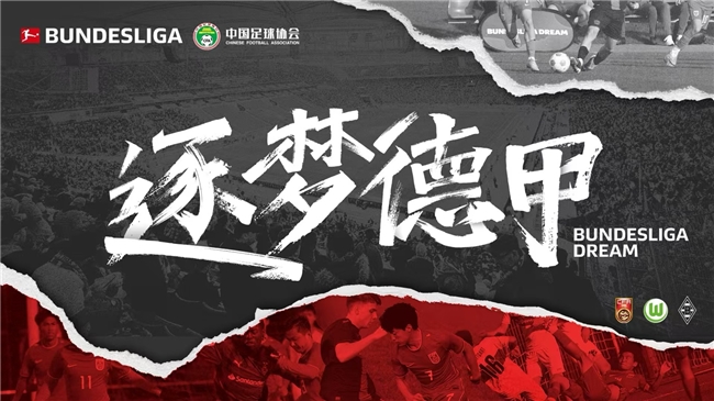 行业巨头对德甲的看法与支持母公司