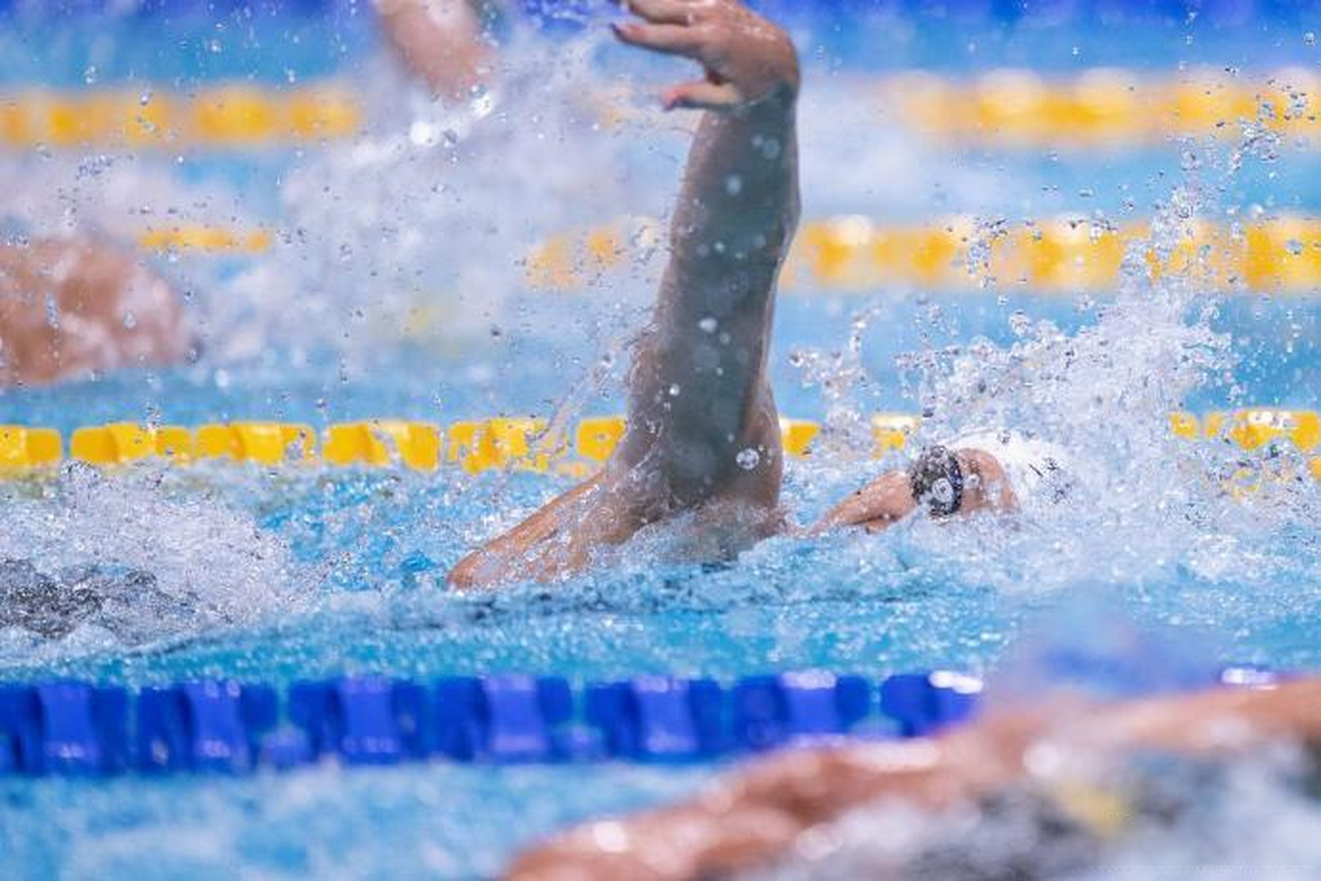 国际泳联世锦赛：泳者争夺金牌的刺激