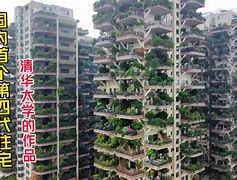 包含"NBA选秀规则解析：未来之星的选择"的词条