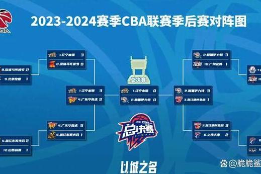 分析CBA各队管理的成功经验与不足之处的简单介绍