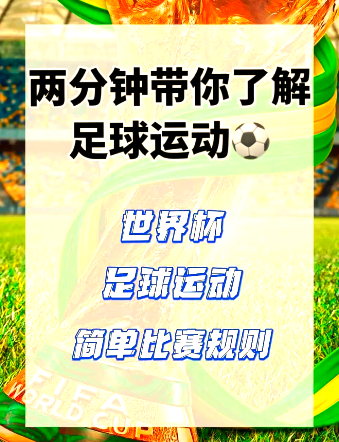 世界杯每四年的期待：球队如何备战